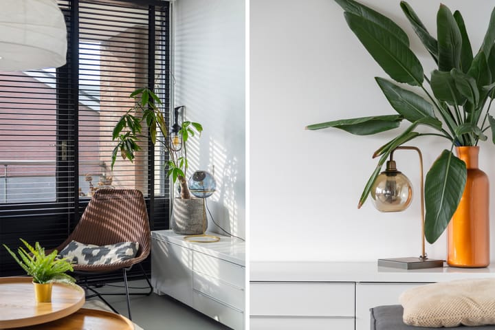 Foto 12 van Hoeker 47