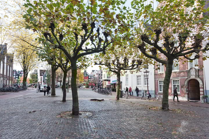 Foto 18 van Voetboogstraat 2-D