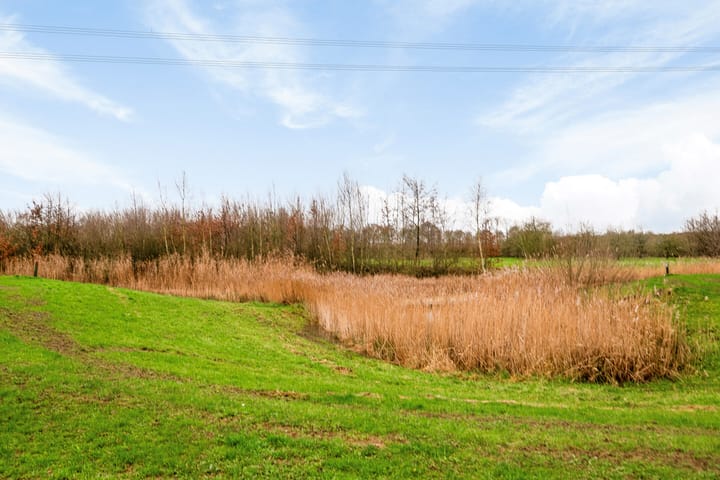 Foto 35 van de Flier 3907