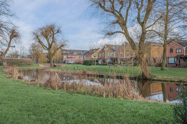 Foto 6 van Pijlkruid 19