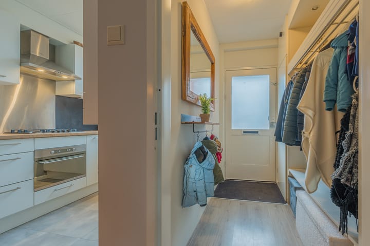 Foto 20 van Pijlkruid 19