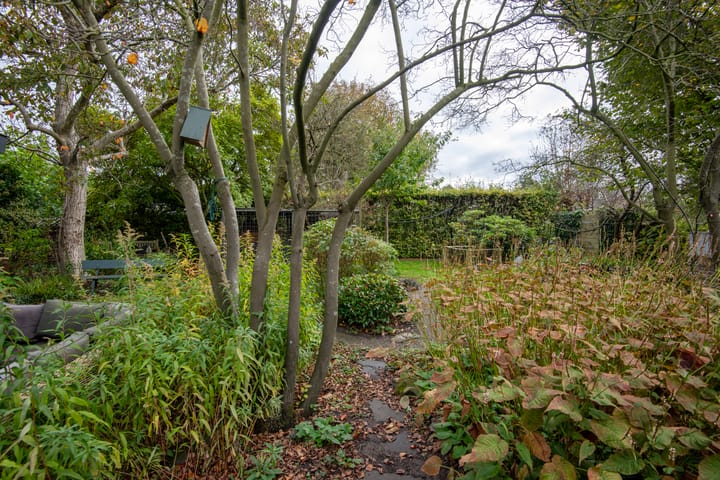 Foto 53 van Hogenhof 20