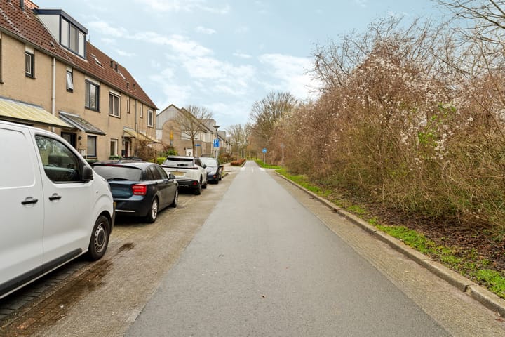 Foto 40 van Weidekruidveld 53