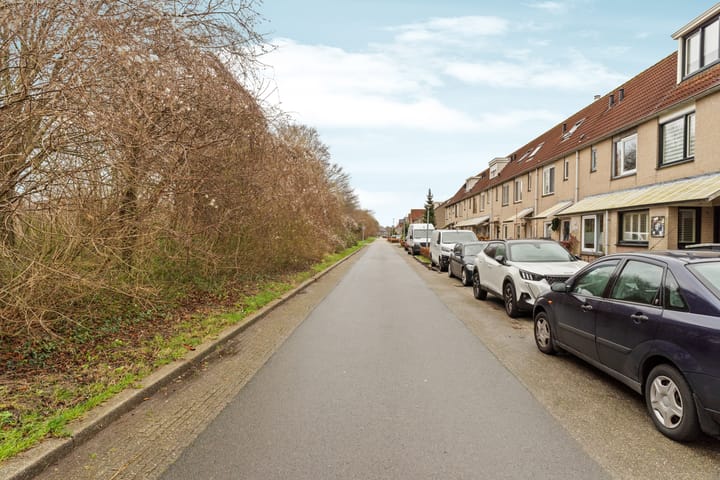 Foto 41 van Weidekruidveld 53