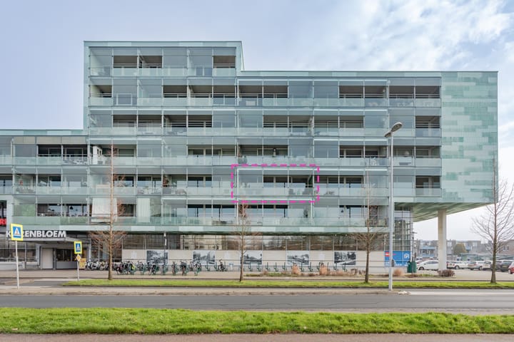 Foto 1 van Sleutelbloem 13