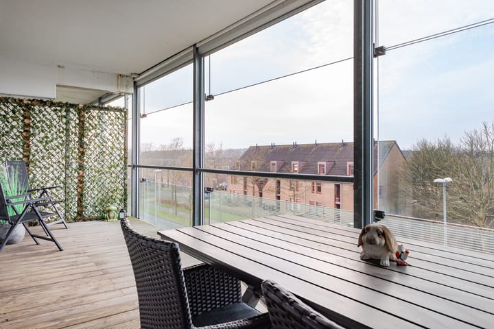 Foto 3 van Sleutelbloem 13