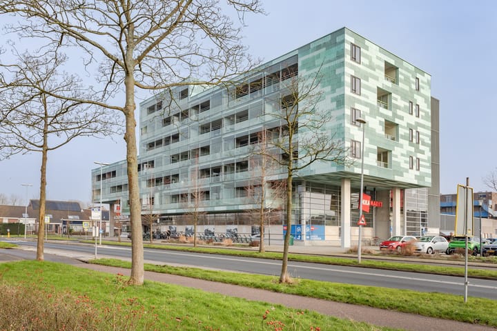 Foto 34 van Sleutelbloem 13