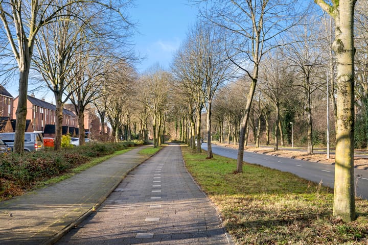 Foto 4 van Pieter de Hooghstraat 156