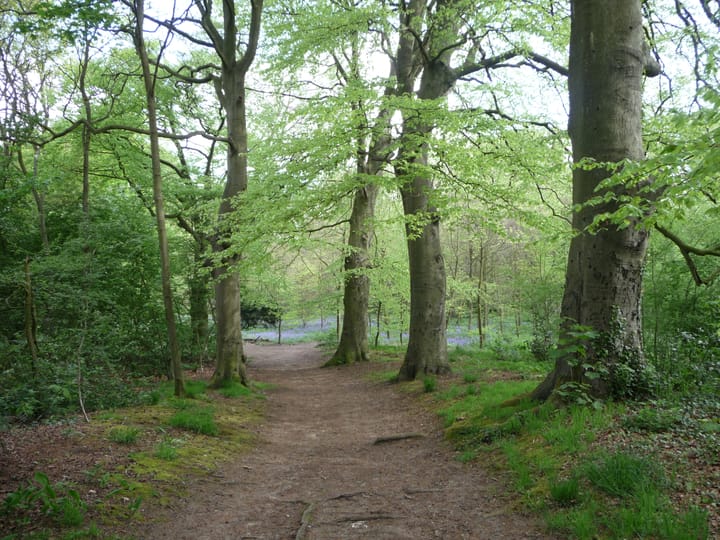 Photo 39 of Generaal Spoorlaan 14