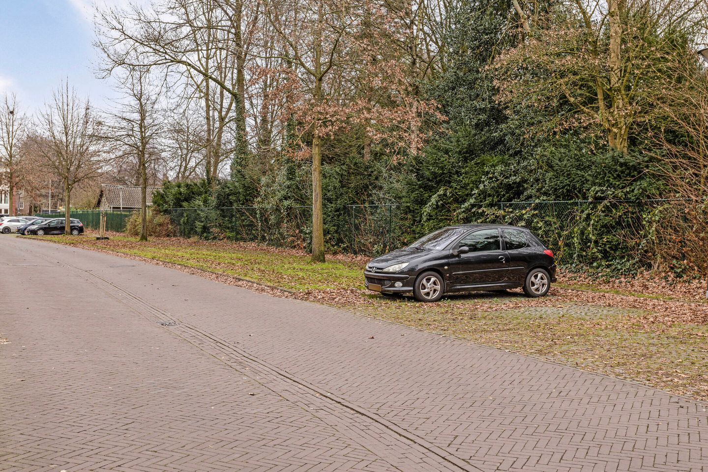 Foto 49 van Godfried Bomansstraat 20