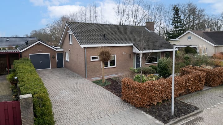 Foto 4 van Grote Tiende 1