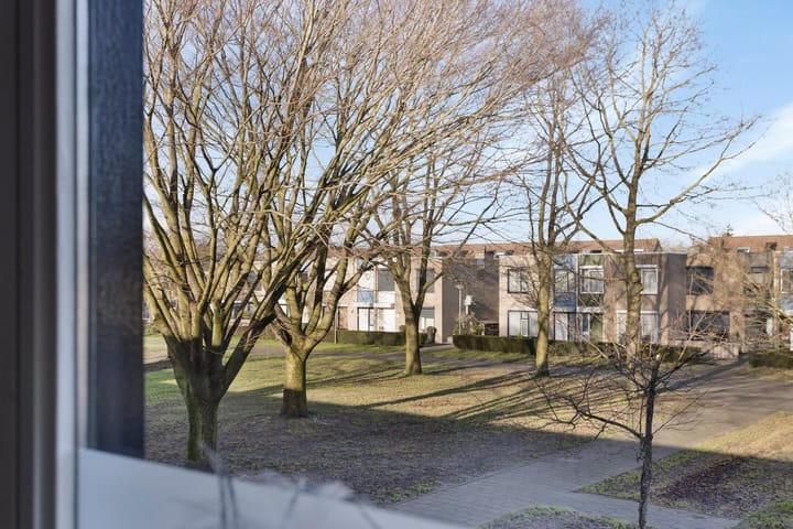 Foto 19 van Thorbeckeplantsoen 41