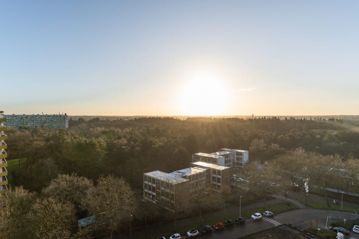 Foto 17 van Laan van Vollenhove 598