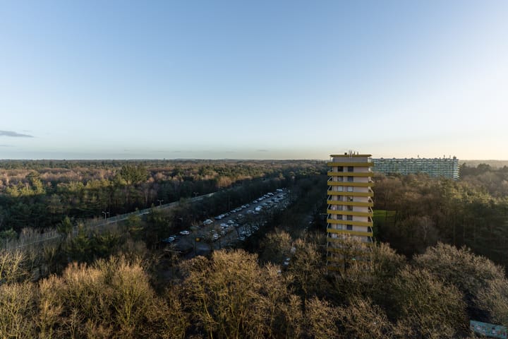 Foto 4 van Laan van Vollenhove 598