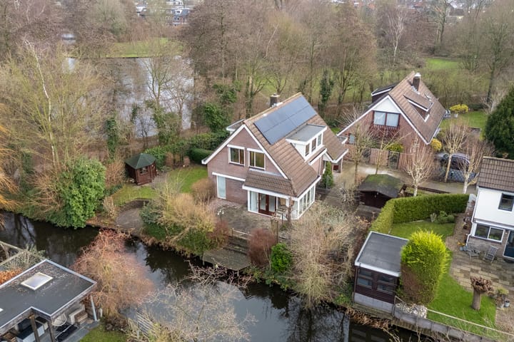 Foto 1 van Penningkruid 70