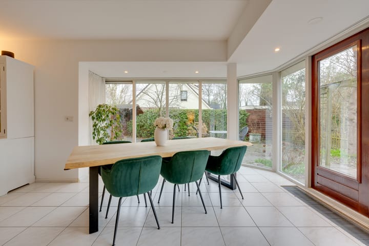 Foto 3 van Penningkruid 70