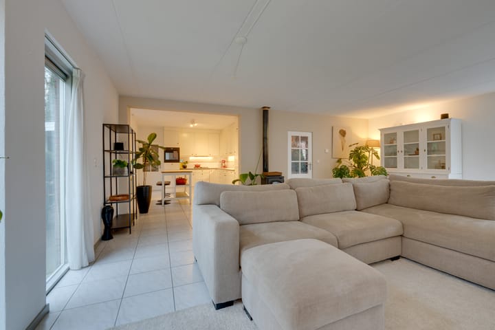 Foto 5 van Penningkruid 70