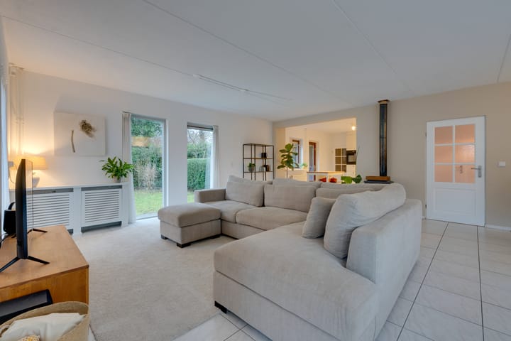 Foto 6 van Penningkruid 70