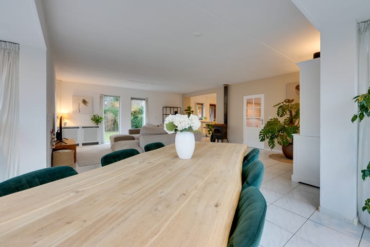 Foto 9 van Penningkruid 70