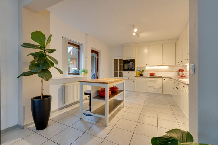 Foto 11 van Penningkruid 70