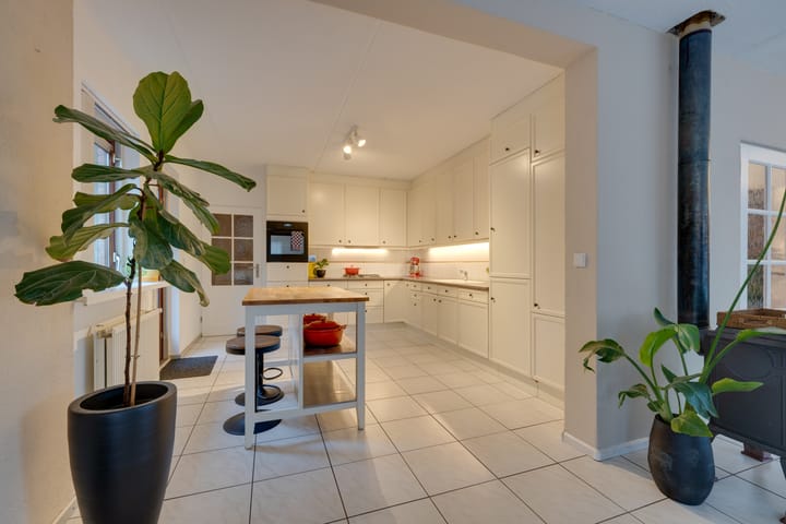 Foto 12 van Penningkruid 70