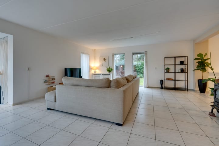 Foto 10 van Penningkruid 70