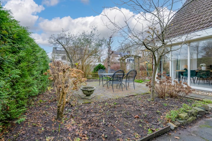 Foto 20 van Penningkruid 70