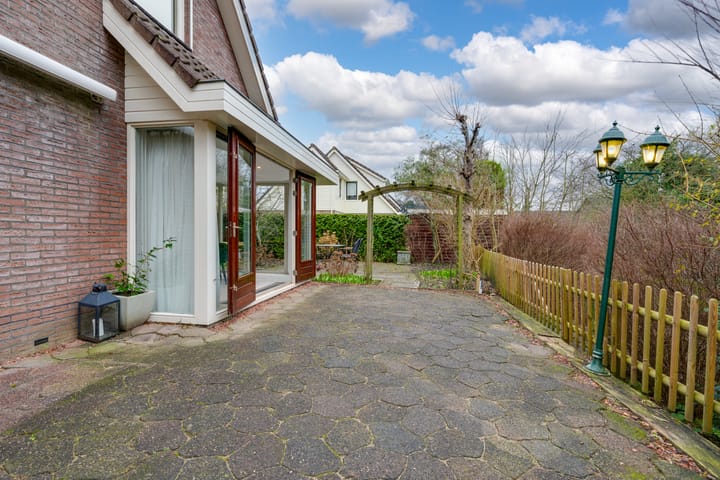 Foto 24 van Penningkruid 70