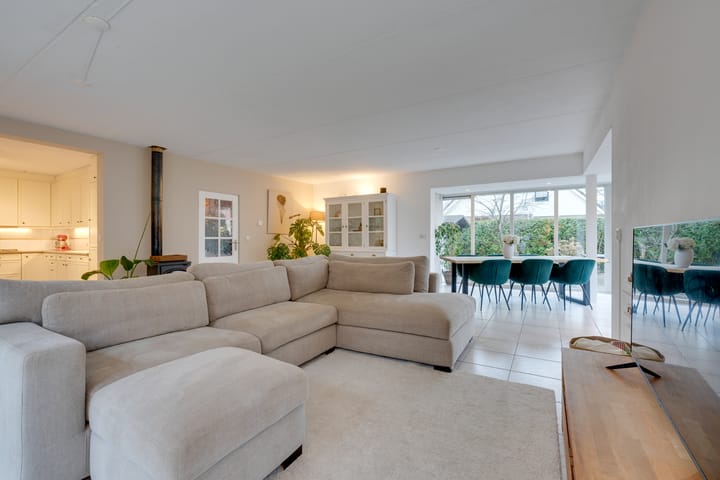 Foto 2 van Penningkruid 70