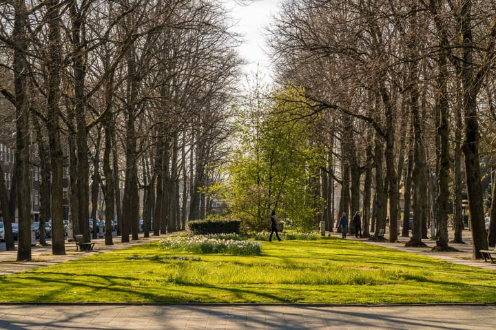 Foto 41 van Churchill-laan 82-3