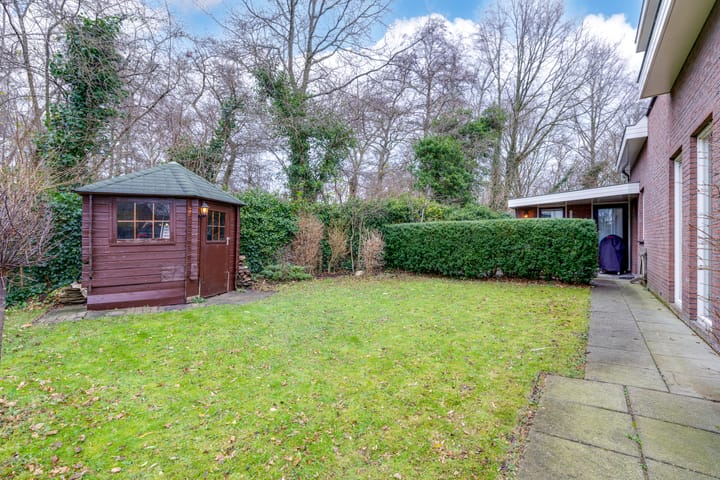 Foto 25 van Penningkruid 70