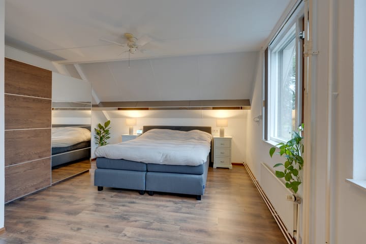 Foto 32 van Penningkruid 70