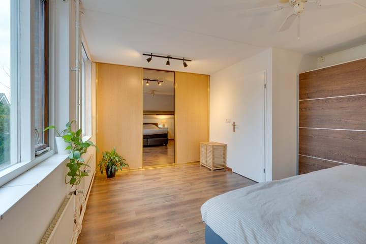 Foto 35 van Penningkruid 70