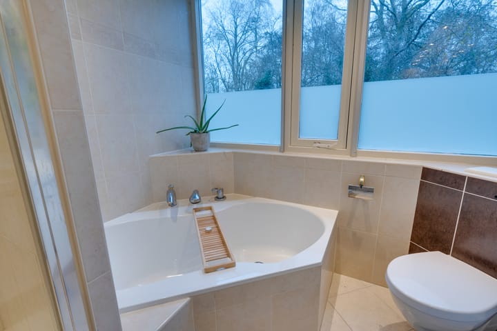 Foto 45 van Penningkruid 70