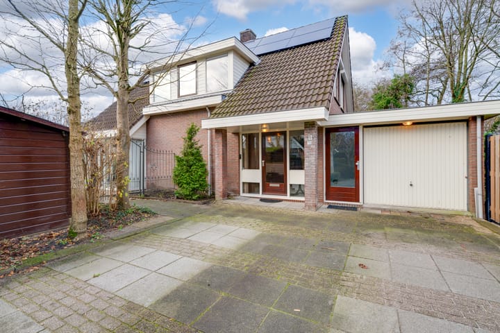 Foto 48 van Penningkruid 70