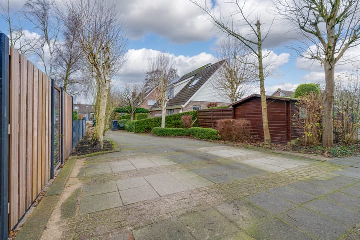 Foto 50 van Penningkruid 70