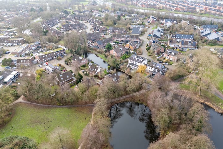 Foto 51 van Penningkruid 70