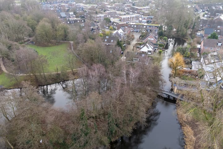 Foto 52 van Penningkruid 70