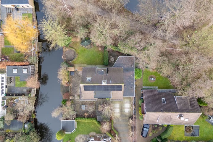 Foto 53 van Penningkruid 70