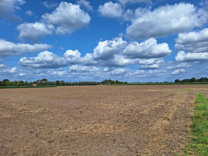 Foto 3 van DEN HOECK kavel 1