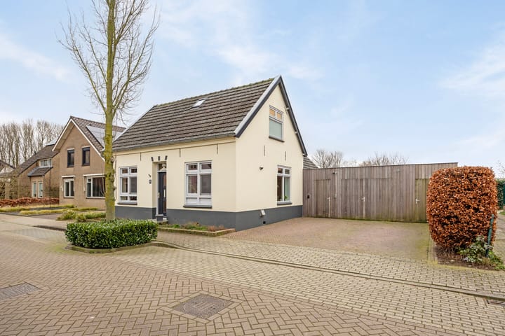 Photo 51 of Frans Halsstraat 16