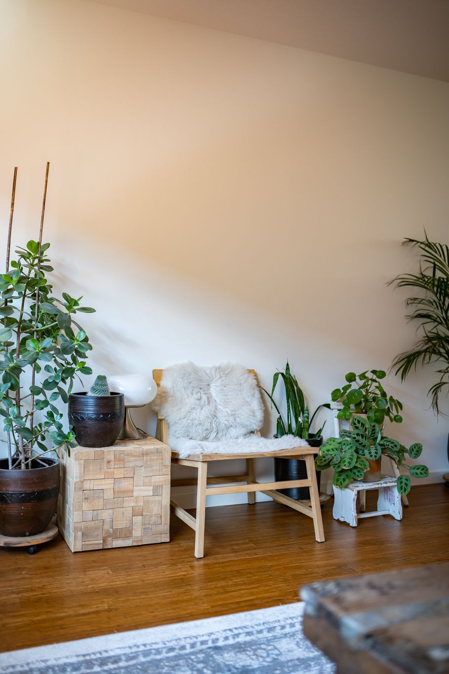 Foto 6 van Lampenistenstraat 18