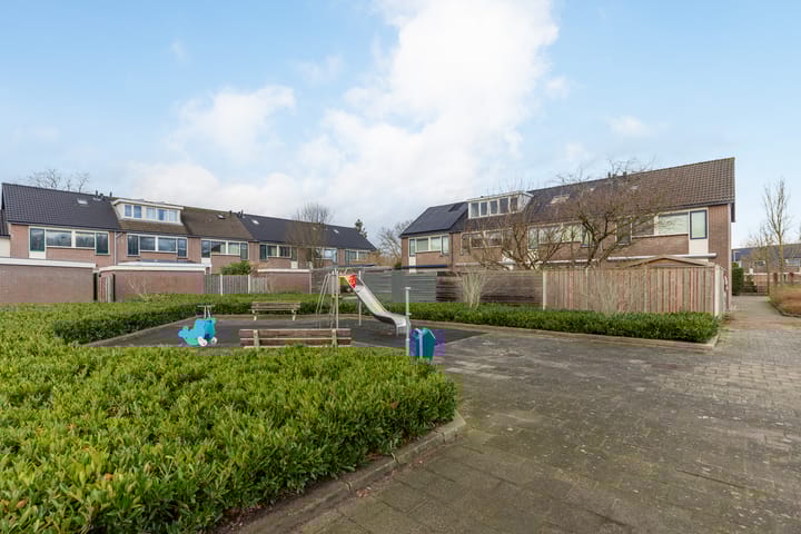 Foto 39 van Libellemeent 97