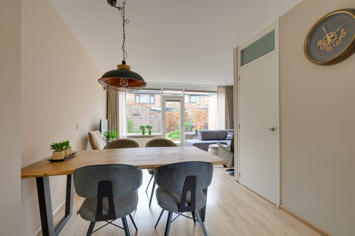 Foto 2 van Paardenbloem 7