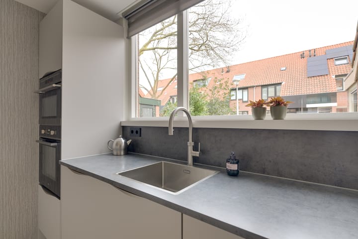 Photo 6 of Paardenbloem 7