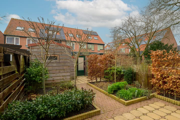 Photo 11 of Paardenbloem 7