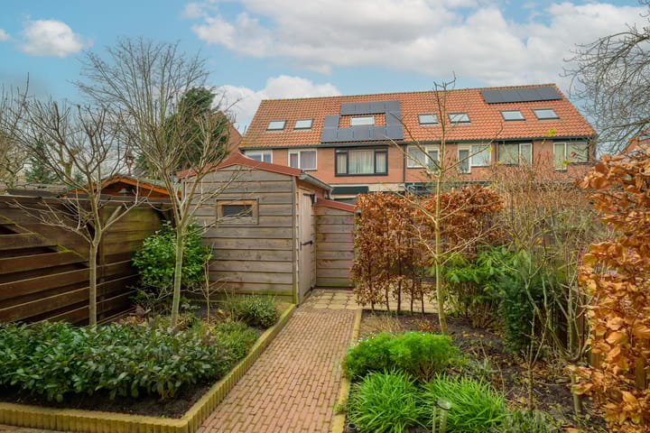 Photo 12 of Paardenbloem 7