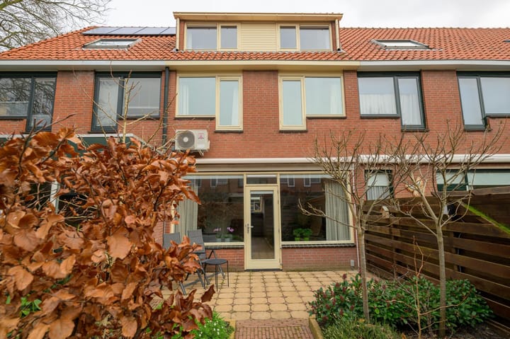 Photo 13 of Paardenbloem 7