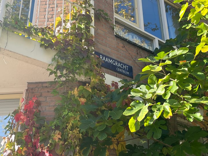 Foto 20 van Raamgracht 35-G