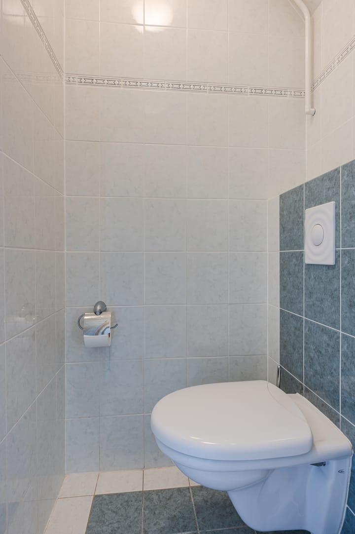 Foto 7 van Lijster 16